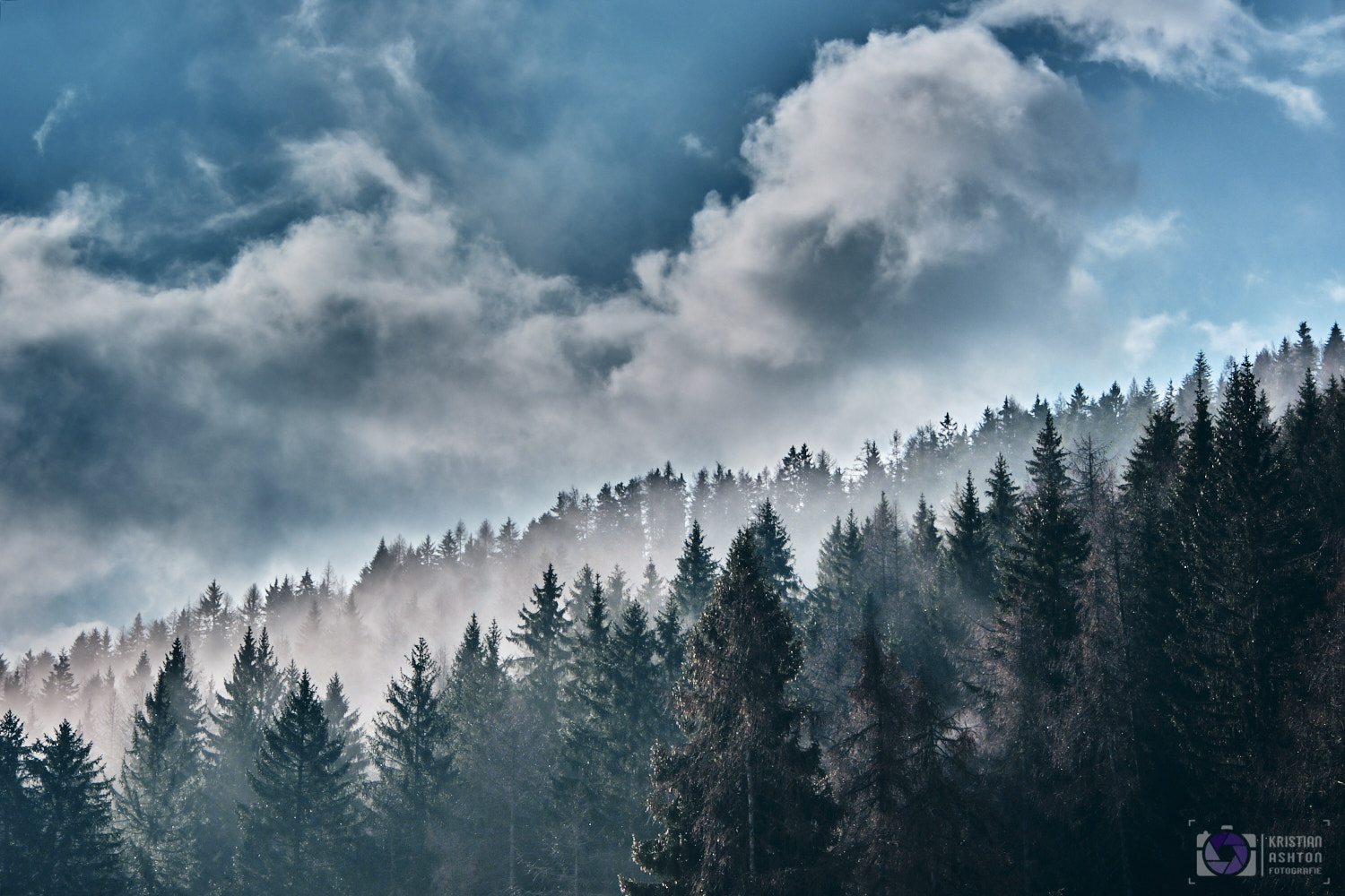 Morning mist at Pfösl